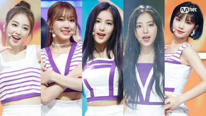 청순+발랄 서머송! ′엘리스′의 ′Summer Dream′ 무대