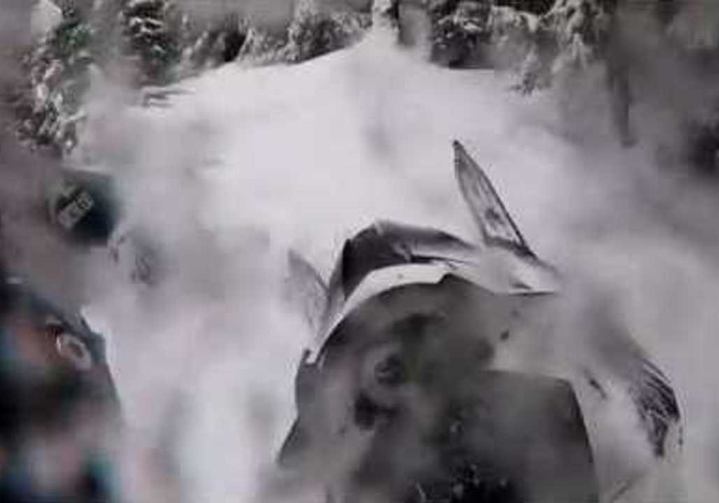 Snow Way! Guy Rides Snowmobile Through Slovenian Forest