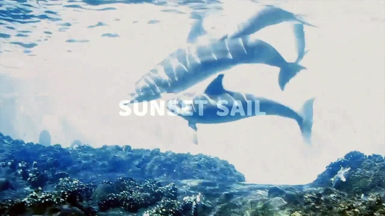 Information Video About Ko Olina Ocean Adventures