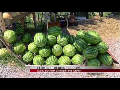 Lezhë, fermerët hedhin prodhimet - News, Lajme - Vizion Plus