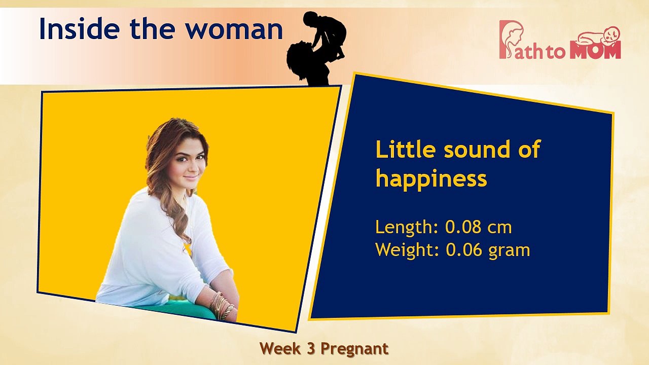 Pregnancy Week By Week | 3 Weeks Pregnant | Pregnancy Stages & Fetal Development