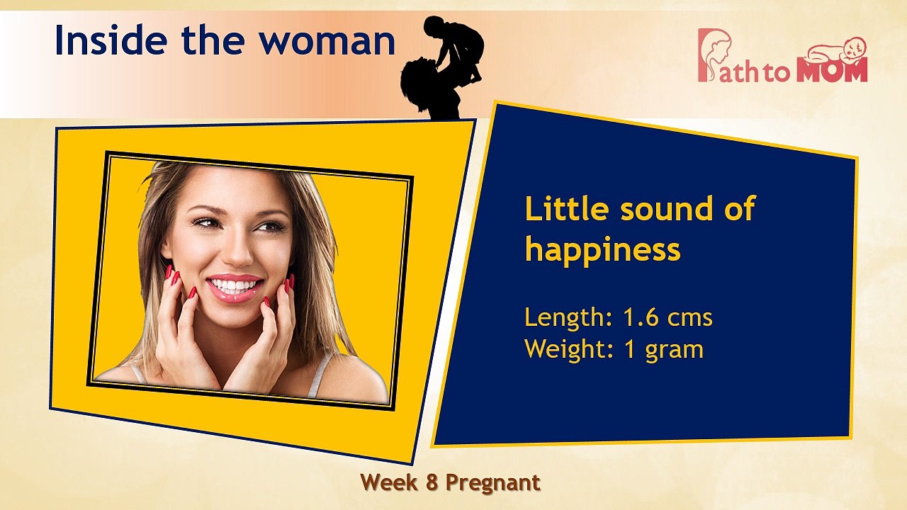 Pregnancy Week By Week | 8 Weeks Pregnant | Pregnancy Stages & Fetal Development