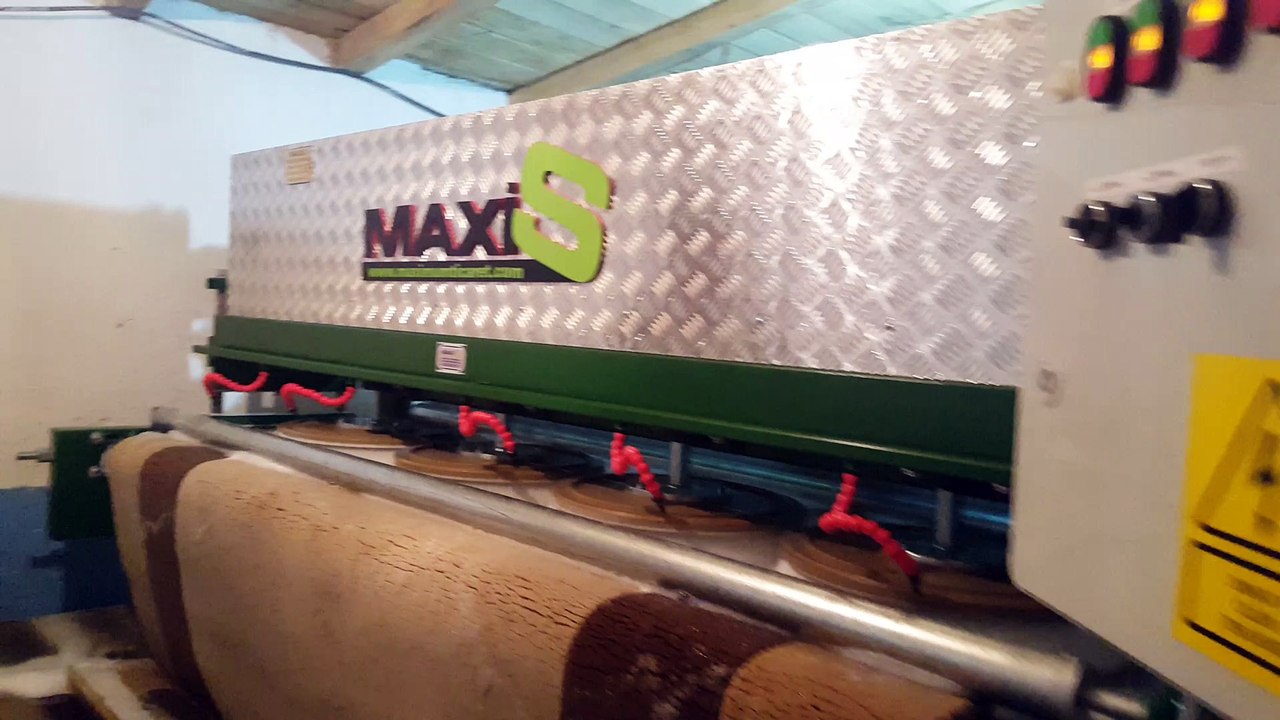 otomatik halı yıkama makinası,halı sıkma makinası maxis