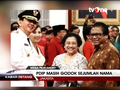Sekjen PDIP Ibu Megawati Sayang Ahok