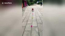 Bespectacled pooch in red cape shows off incredible roller skating skills