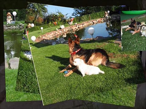 00.Video Kelly 2018.7 002