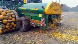 Modern Agriculture Machines Harvesters- Pumpkin and Squash Field Fertilizing