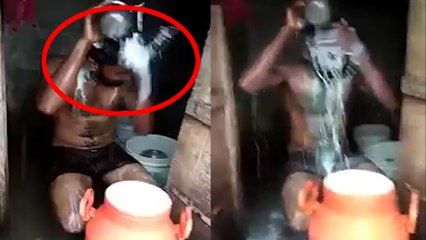 35 லிட்டர் பாலில் குளித்துவிட்டு ஆடு, மாடுகளையும் குளிப்பாட்டிய இளைஞர்- வீடியோ