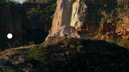 [BA] Bébés animaux - 25/07/2018