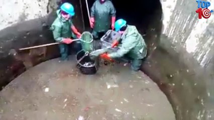 Top 10 Amazing River Net Fishing In The World