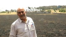 Konya'da Ormanlık Alana Sıçrayan Yangın Büyümeden Söndürüldü