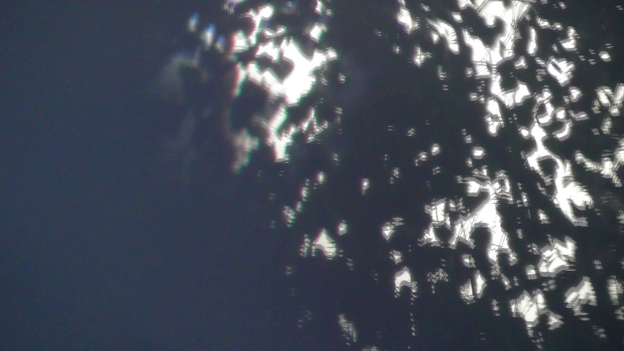 July 19 2018 DL7