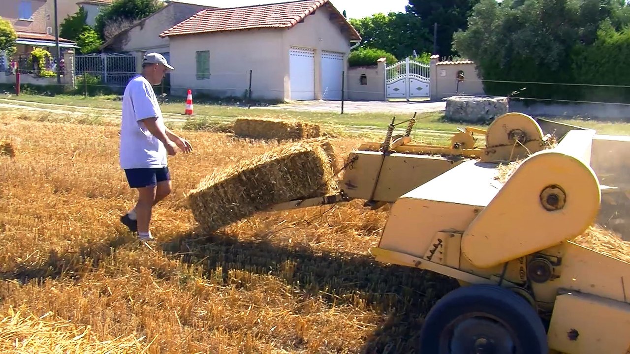 La moisson des blés à Saint Pierre et Saint Julien