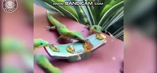 ㄗ강북출장마사지  【카톡 M7722】강북출장샵【 ay5882.coM】 강북오피스걸 강북여대생출장 강북애인대행 //강북출장안마 강북콜걸 강북모텔출장 강북출장대행