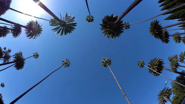 An LA Minute Movie - Starring Gabriel Byrne and Kiersey Clemons - Trailer - (2018)