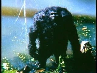 The Abominable Snowman - In Search of History Documentary