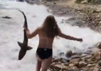 Shark Washed Up on Shore Rescued by Brave Beach Goer
