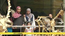 Des animaux disparus se trouvent au musée zoologique du Caire [No Comment]