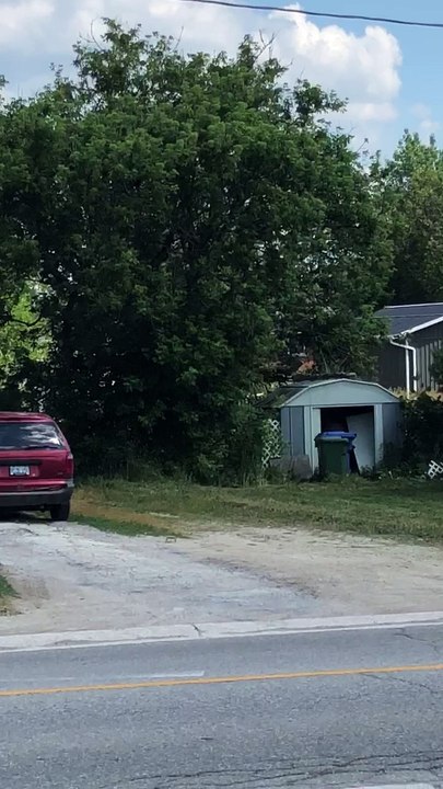 Lawn Mower Mini Van