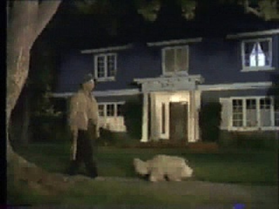 Commercial - Amiga - House