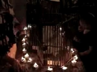 Nativity scene Christmas video