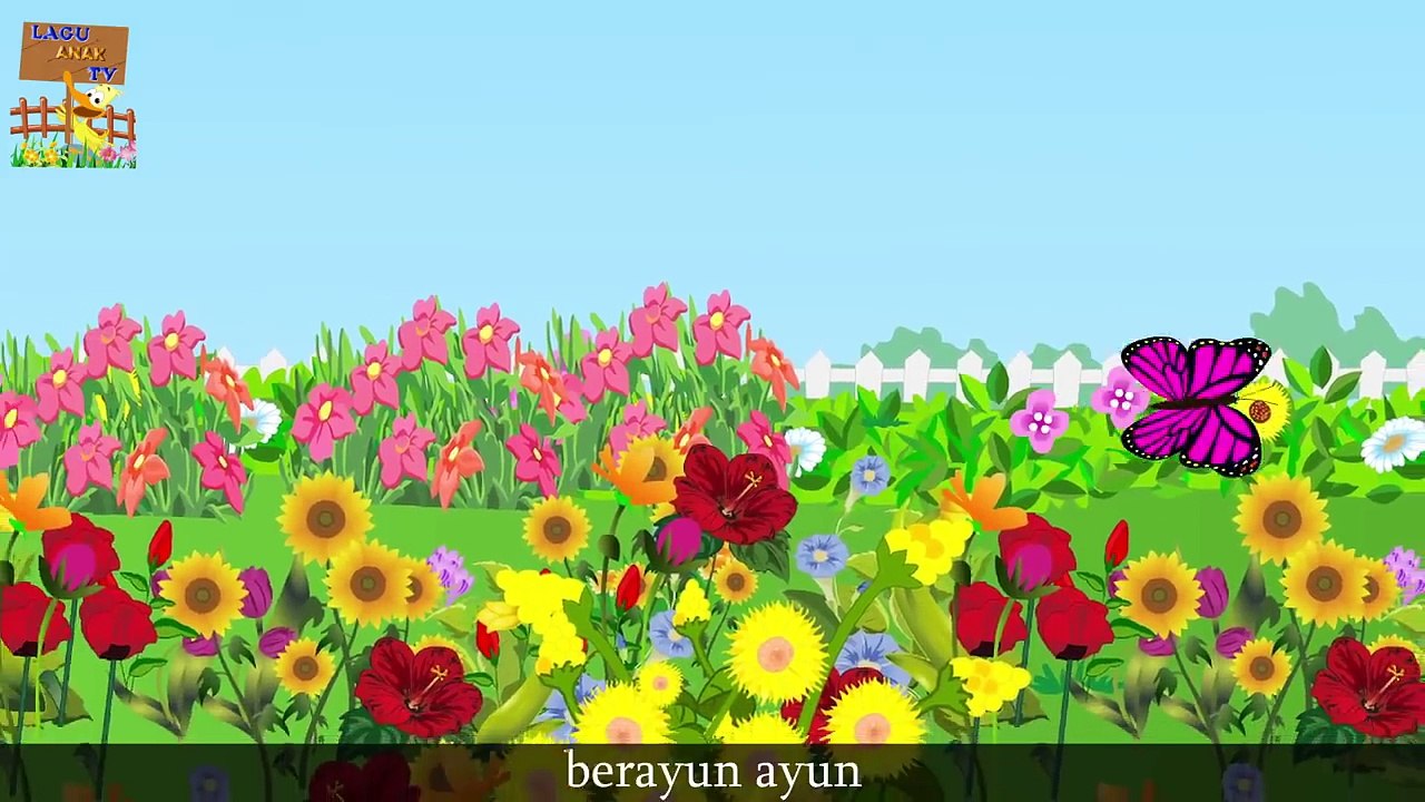 Kupu kupu yang lucu | Lagu Anak Anak Indonesia Terpopuler | Kumpulan | Lagu Anak TV