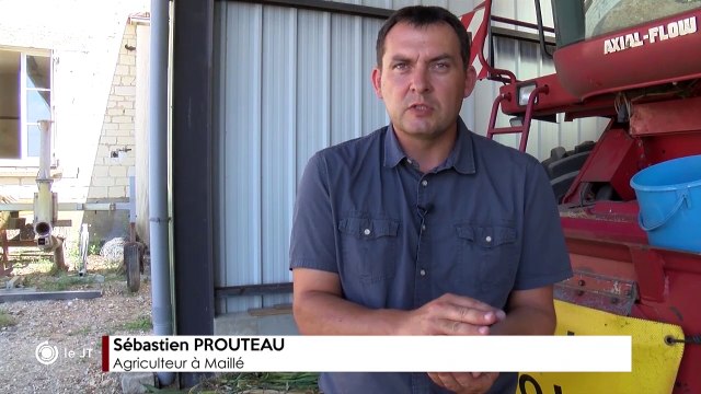 A LA UNE / Moissons 2018 en Touraine : c'est moyen ! - 19/07/2018