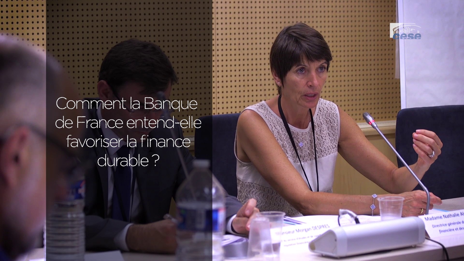 Questions à Nathalie AUFAUVRE (Banque de France) - Finance durable - cese -  Vidéo Dailymotion