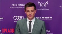 Cory Monteith was in rehab before death