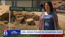 More Than 100 Dogs Rescued from Hoarding Situation in Utah
