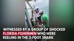 500-Pound Goliath Grouper Devours Shark In Front Of Shocked Florida Fisherman