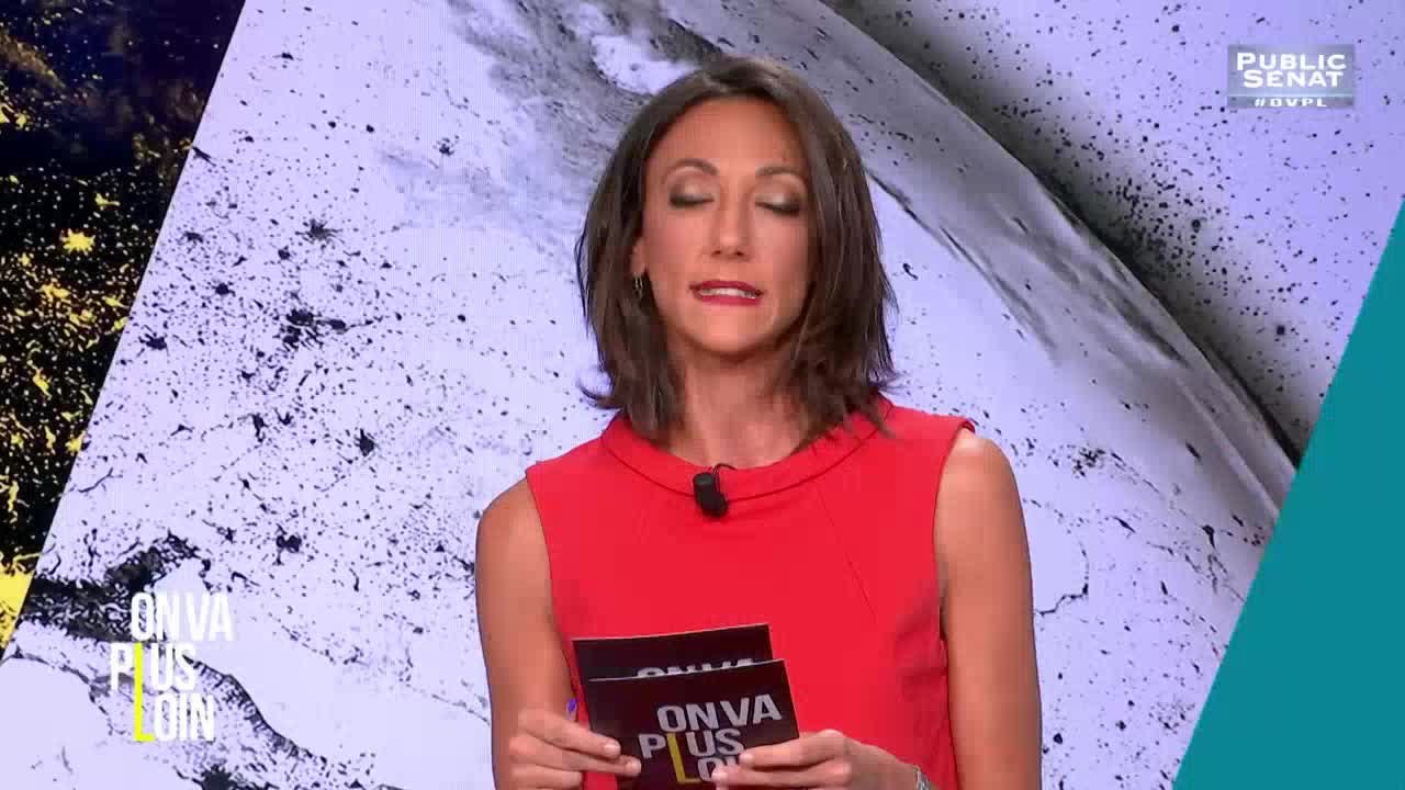 Benalla : cette affaire qui empoisonne l'Elysée - On va plus loin (19/07/2018)