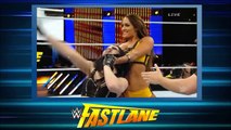 Paige vs. Nikki Bella - Divas Championship: Fastlane, February 22, 2015 by wwe entertainment