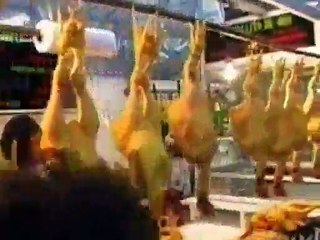 Anthony Bourdain A Cooks Tour - S01E15 - Tamales and Iguana Oaxacan Style