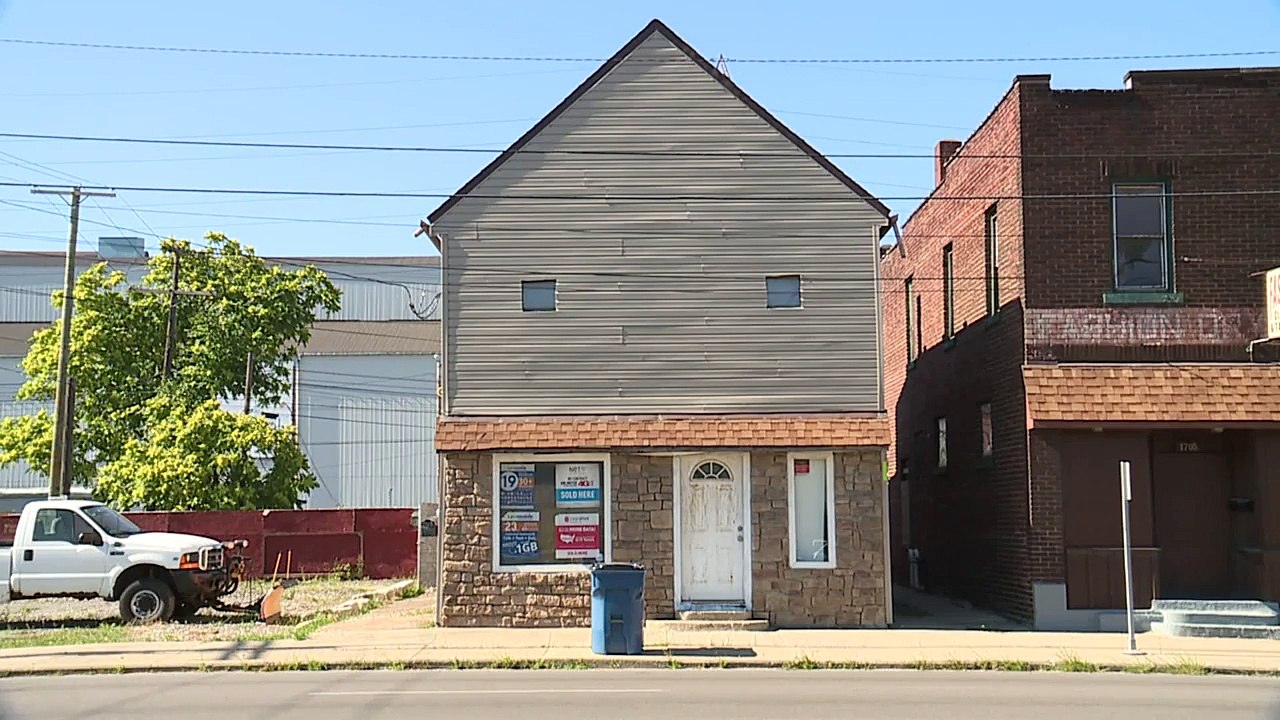 21 Neglected Dogs Rescued from Ohio Apartment