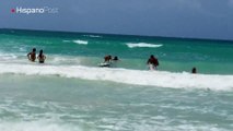 En República Dominicana se dio a conocer el perro surfista