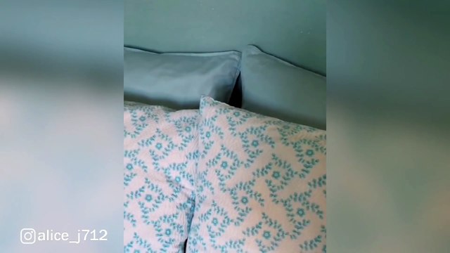 Cherchez le petit chat bien caché...