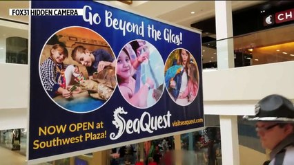 New Colorado Aquarium Fals Two Animal Welfare Inspections