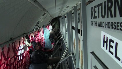 Caballos de Przewalski vuelan a Mongolia, su tierra de origen