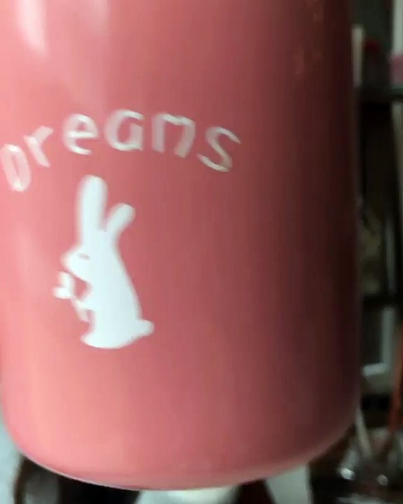 Pyaar Lafzon Mein Kahan - Hayat - Hande Erçel