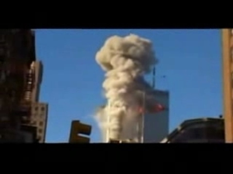 40 ft bird flies behind the North Tower