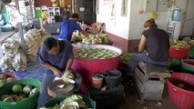 AMAZING COCONUT FACTORY CHIANG RAI THAILAND