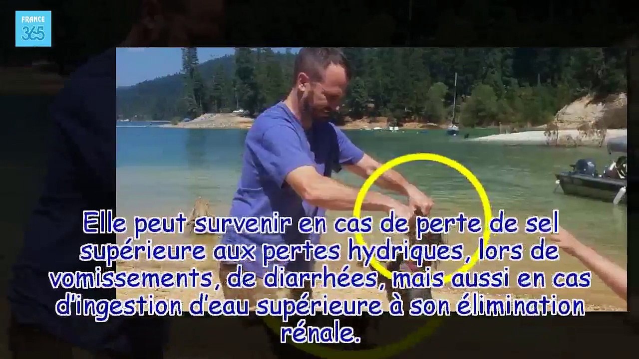 BAIGNADES DES CHIENS : Un chien de 2 ans est empoisonné par l'eau - France 365