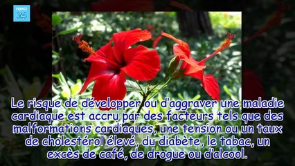 Les 10 meilleurs aliments pour votre cœur - France 365