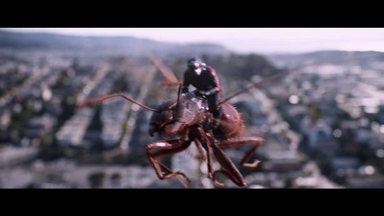 Ant-Man And The Wasp - Clip - Scenic Tour