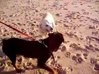 Emy ines ckenzo plage