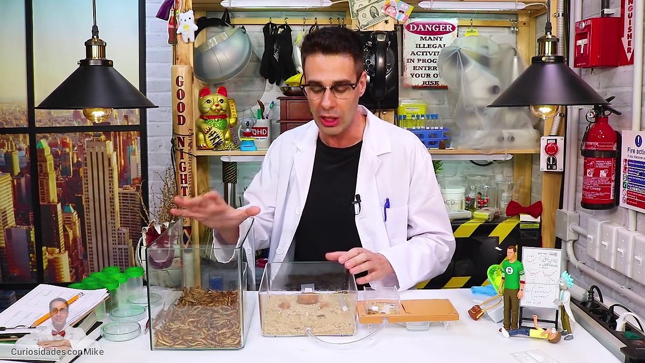 SUPERGUSANOS VS HORMIGAS DE FUEGO | Experimentos con Mike