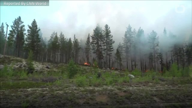 Evacuations Ordered In Sweden As Fires Rage As Far North As Arctic Circle