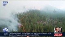 De violents feux de forêt embrasent la Suède jusqu'au cercle polaire