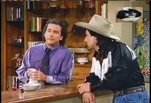 Perfect Strangers S6 E21 - A Catered Affair